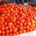 ٹماٹر کی قیمت میں ایک ہفتے میں 41 روپے فی کلو اضافہ.رپورٹ